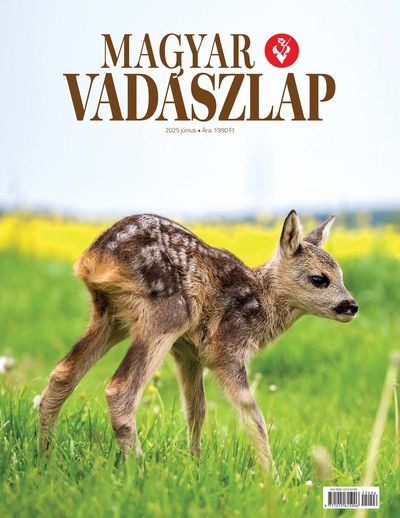 2025 június