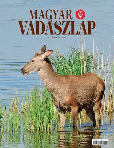 2025 július